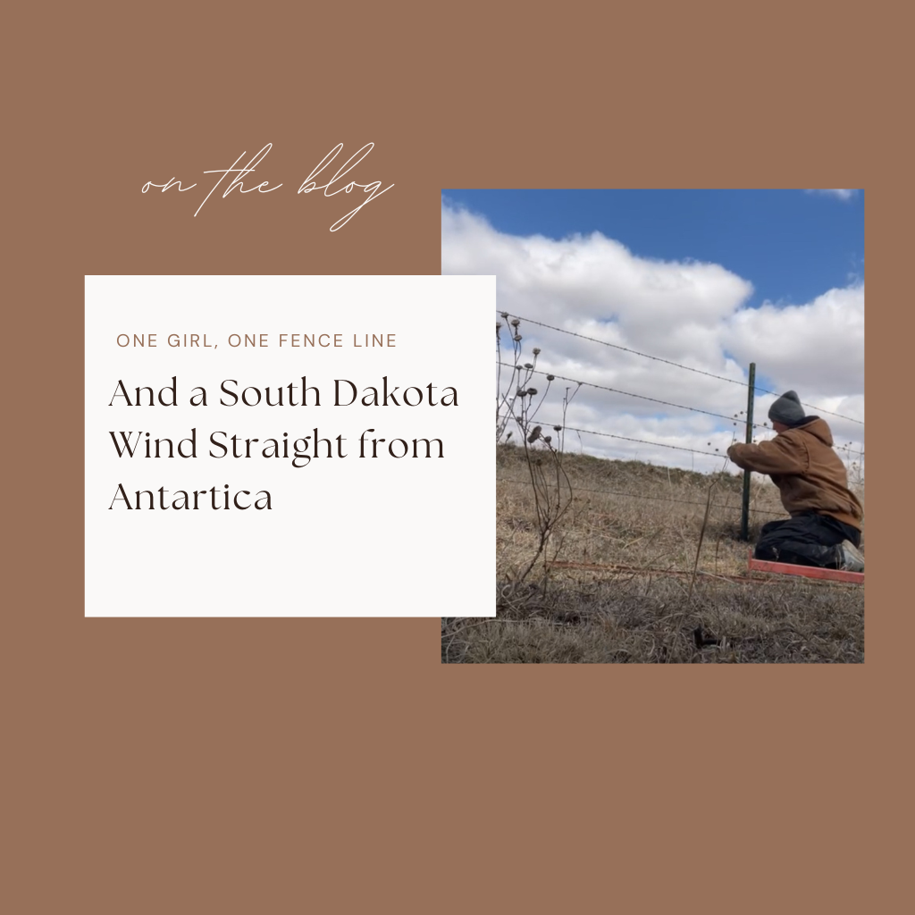 One Girl, One Fence Line, and a South Dakota Wind Straight from Antarctica