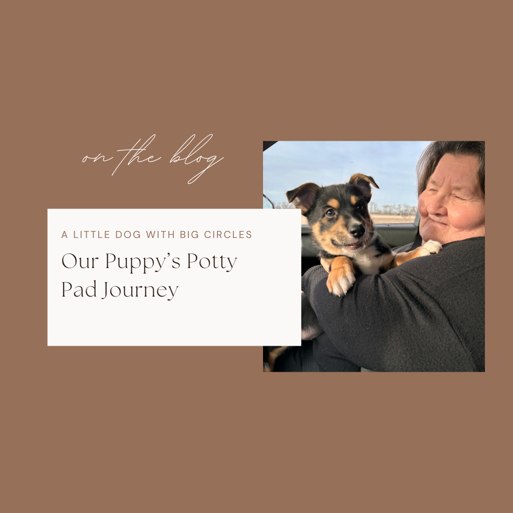 A Little Dog with Big Circles