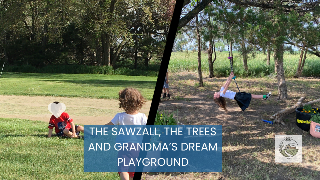 The Sawzall, the Trees and Grandma’s Dream Playground